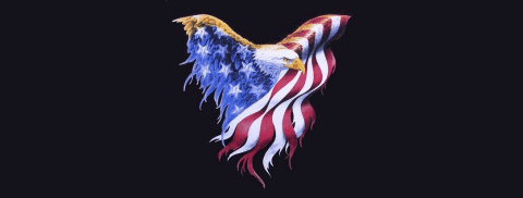 PatroiticEagle.png