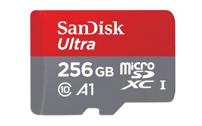 sandisk-ultra-256-a1-980x612.jpg
