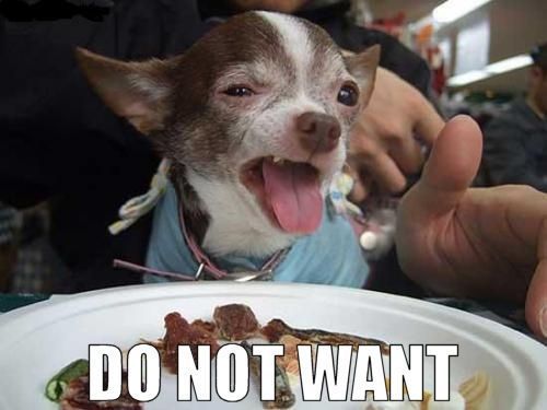 Do_Not_Want_Dog (1).jpg