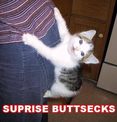 surprise-buttsecks.jpg