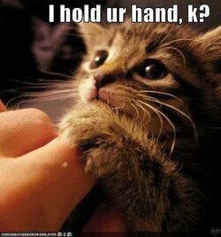 I hold your hand.jpg