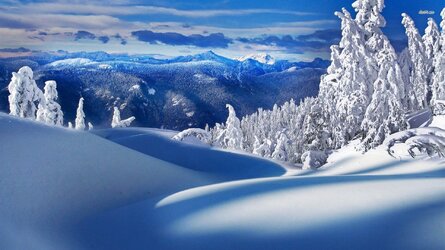 8345-winter-in-the-mountains-1920x1080-nature-wallpaper.jpg