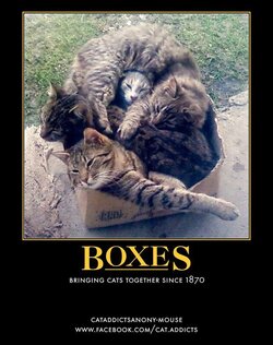 Boxes.jpg
