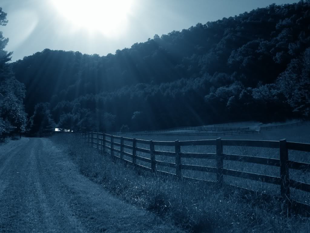 905965681_photobucket_13315_.jpg