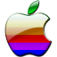 27557-64.png
