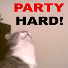 tumblr_lpqinj26qM1qii6tmo1_250.gif