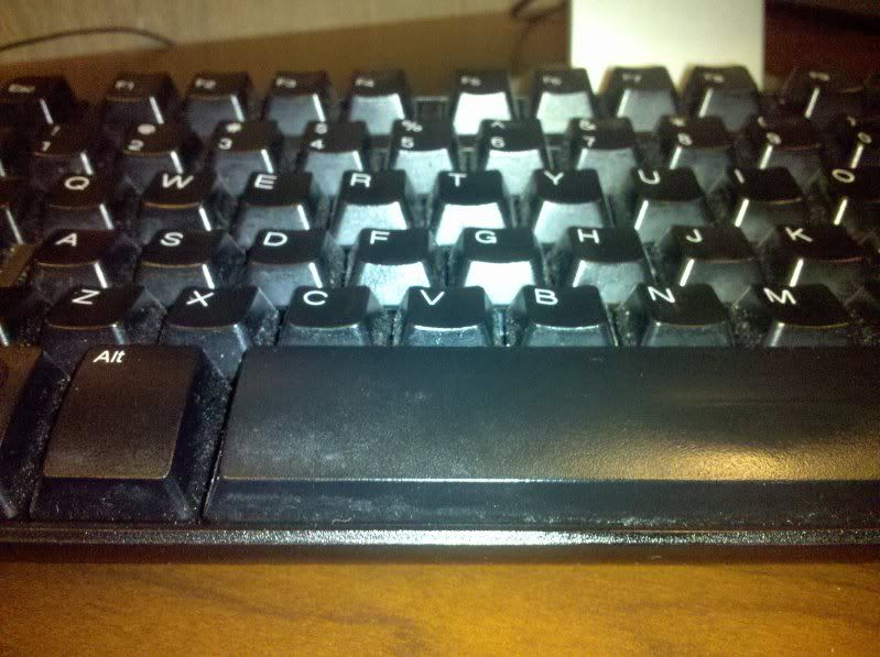 2009-11-10121757.jpg