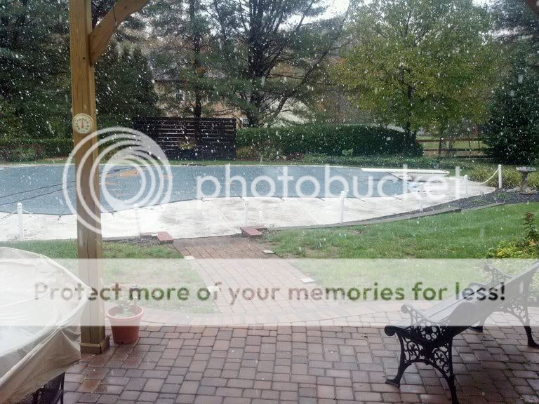 photobucket-1625-1319896895115.jpg