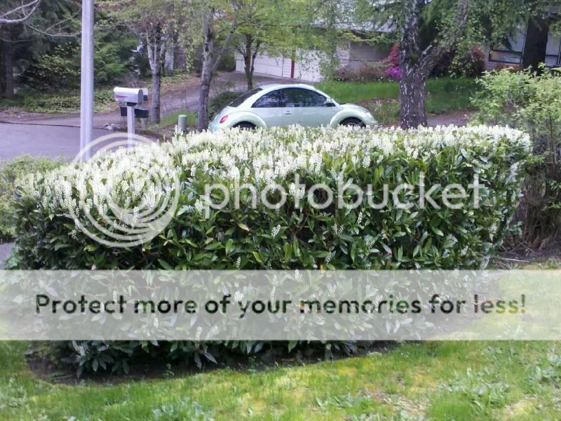 CameraZOOM-20110509194536.jpg