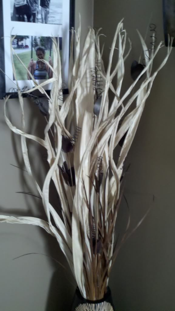73310319_photobucket_17_.jpg