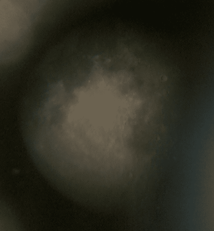 moon.png