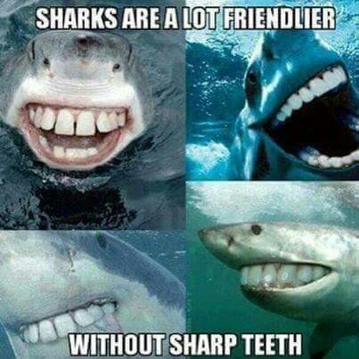 6e2c861a0581157f1065d63e402f69f9.jpg