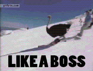 izifunny-gifdump-10-gifs_1.gif