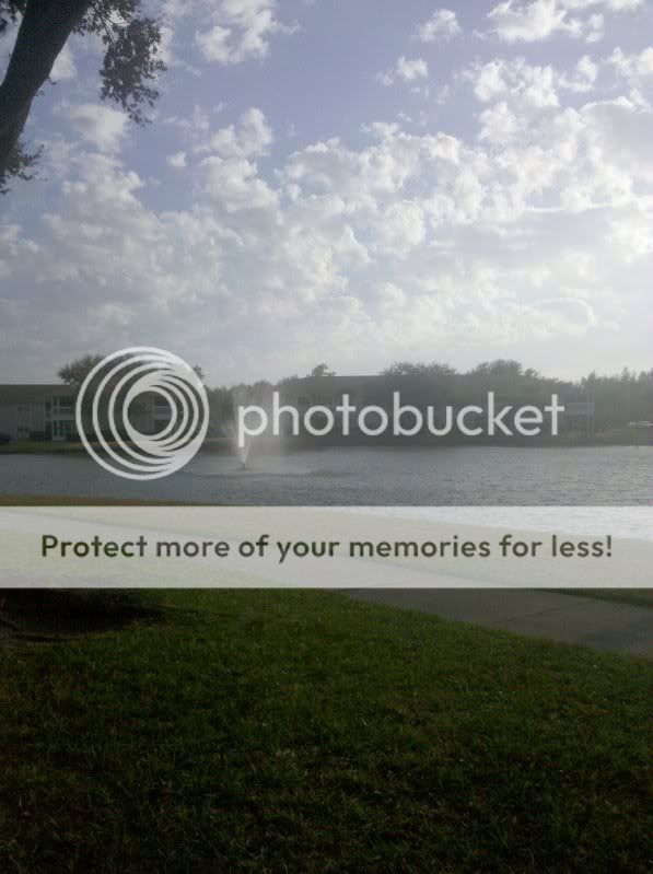 2010-01-24163814.jpg