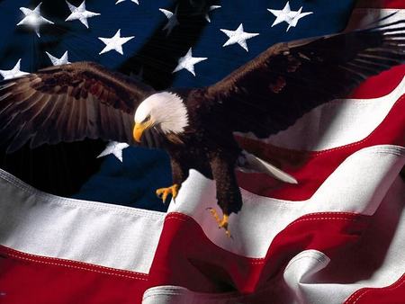 july4-flag2.jpg