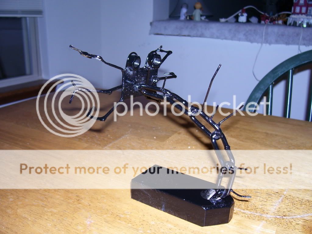100_2485.jpg