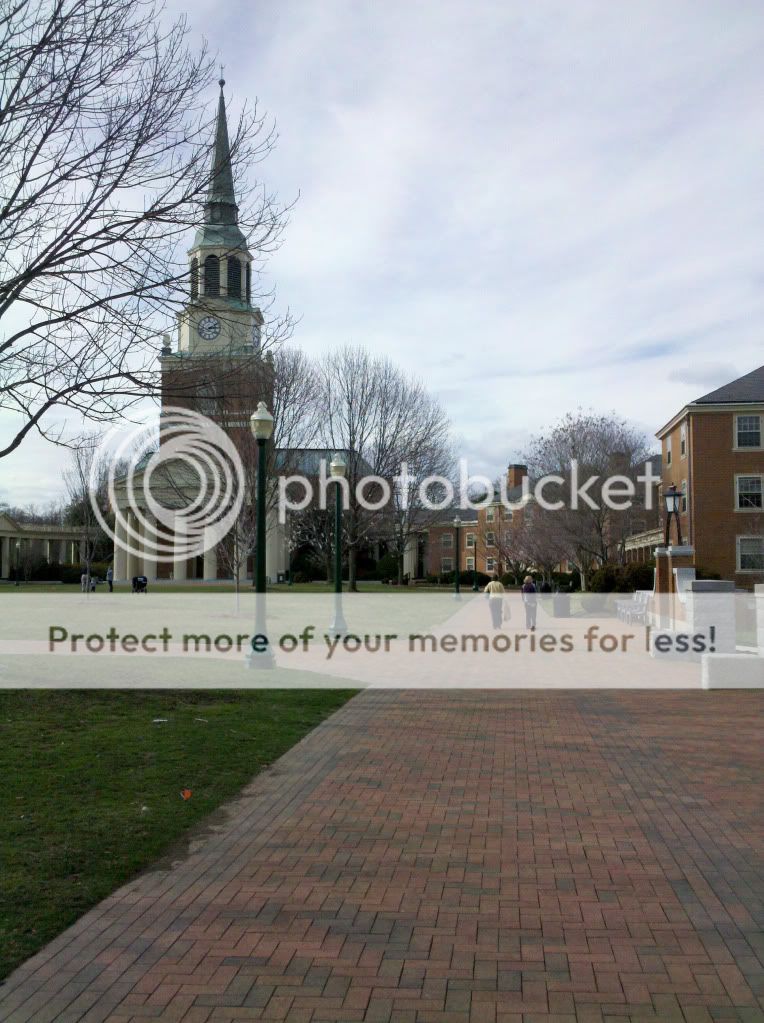 2010-03-14161143.jpg