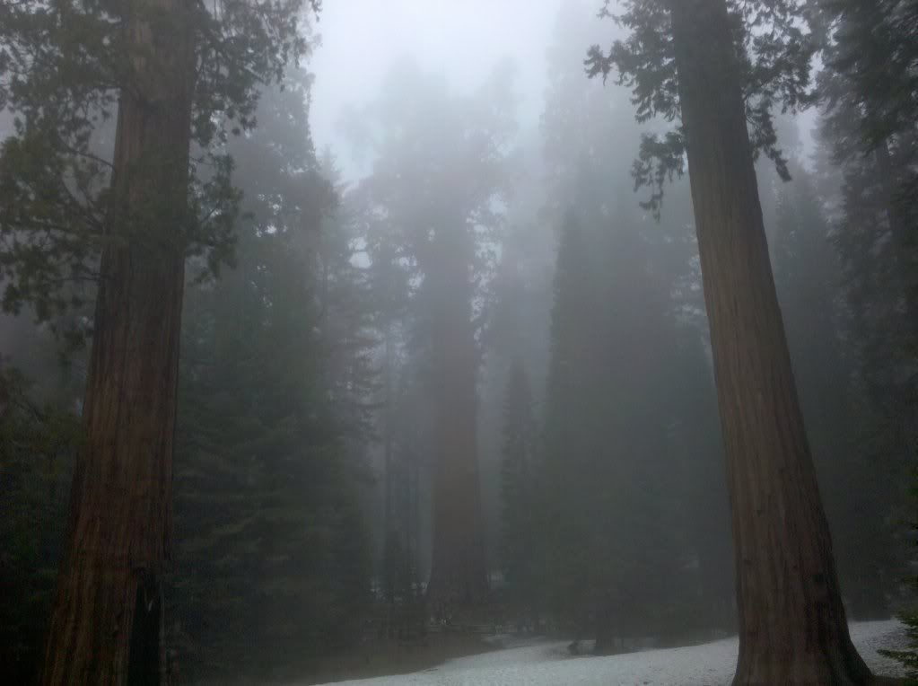 2010-05-20151457.jpg