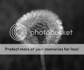 wallpaper_18_small-1.jpg