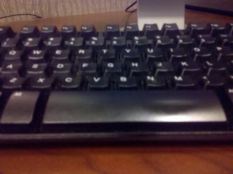 2009-11-10121623.jpg