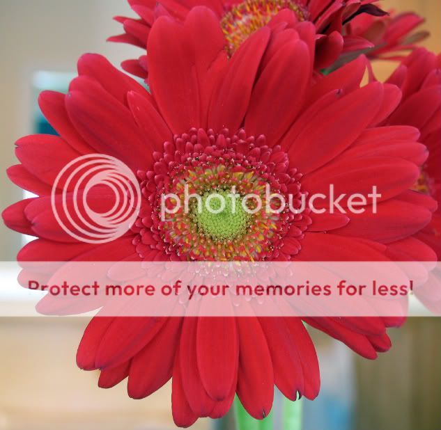 easterflower.jpg