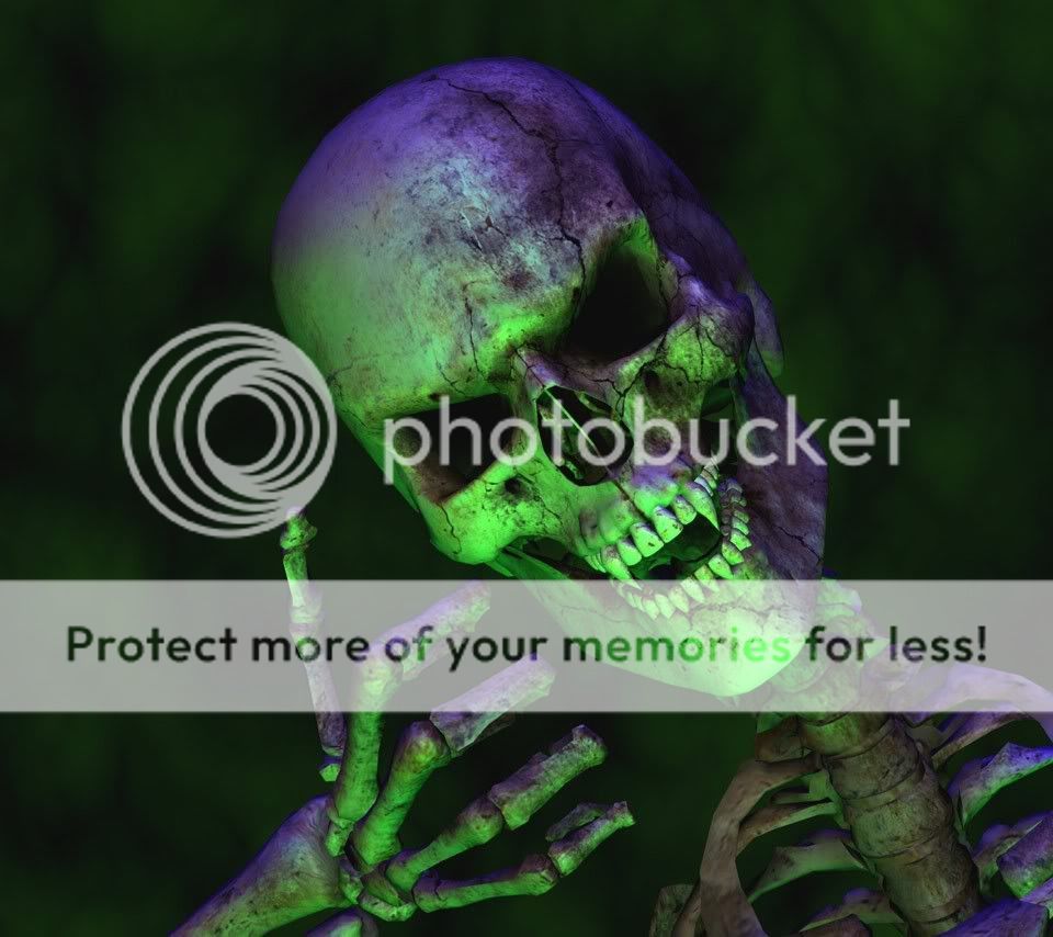 Skull_33568618.jpg