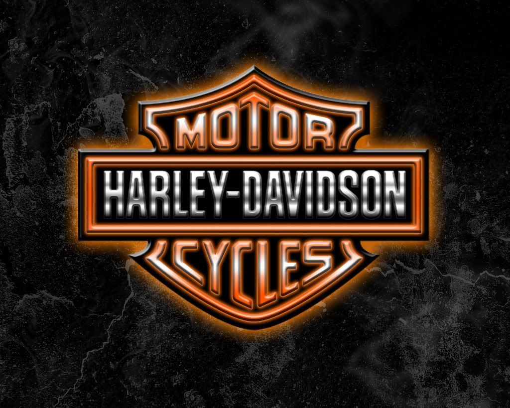 HDLOGOWP.jpg