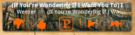 Camo_Pandora.png