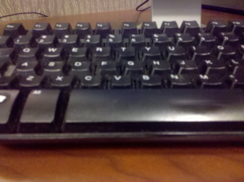 2009-11-10121714.jpg