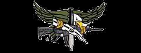 aero80_SWAT_logo.jpg