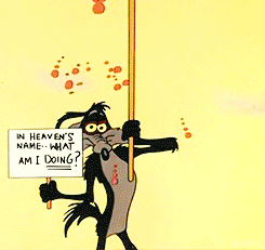 tumblr_n0fiq7l2m51rwzcw7o6_250.gif