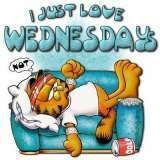 thWEDNESDAY-1.jpg
