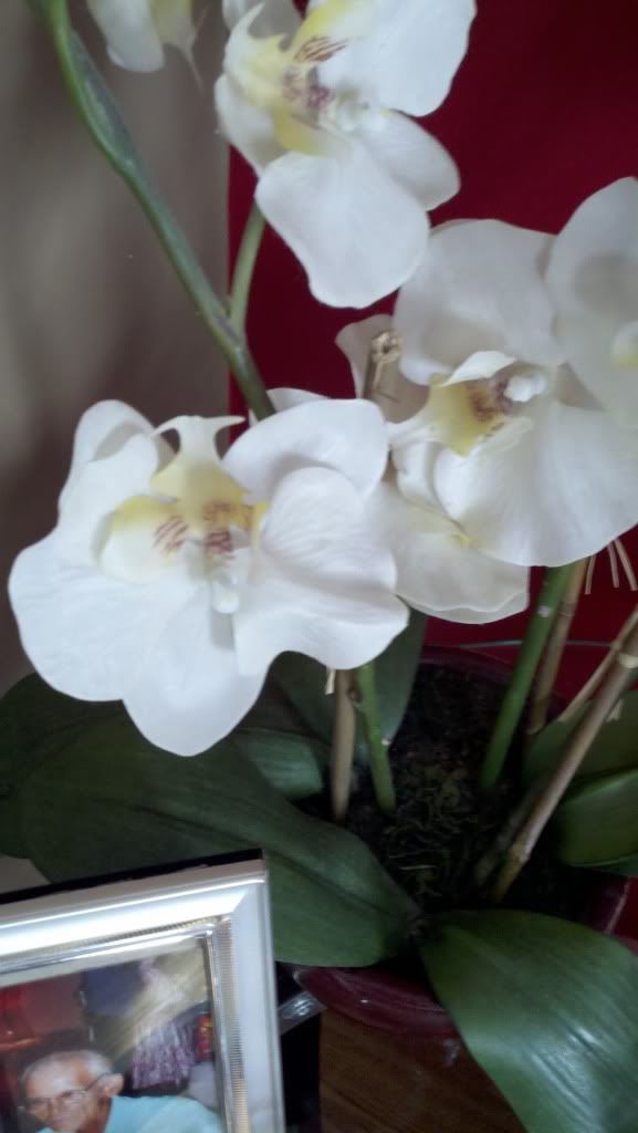 73310319_photobucket_15_.jpg