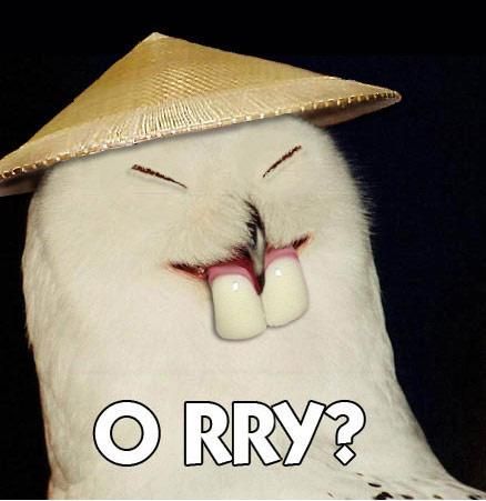 orry.jpg
