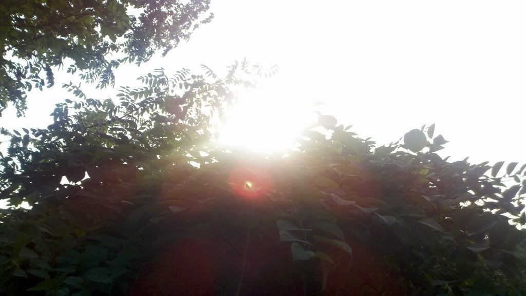 2010-07-17_18-22-27_752.jpg