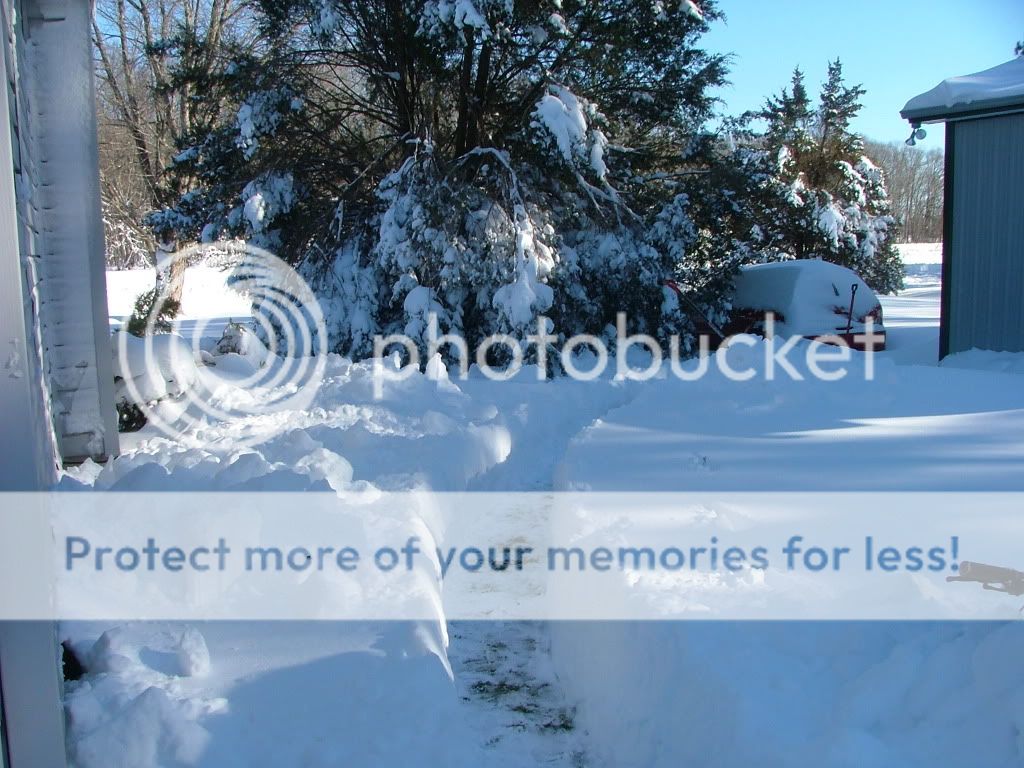 DSCF0808.jpg