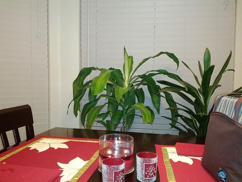 IMG_20111221_205119.jpg