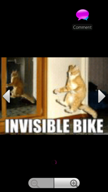 CuteCatlol.png