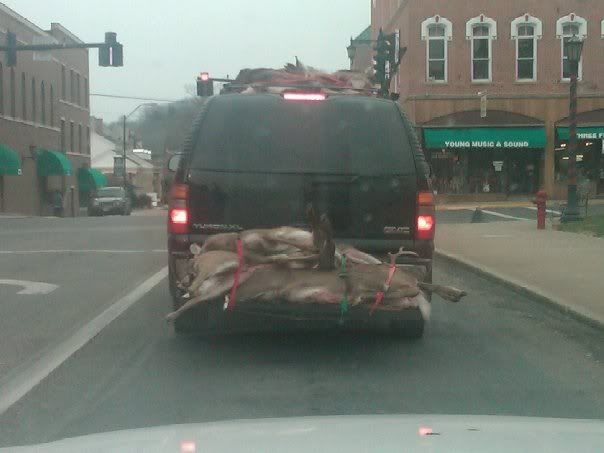 Deerseason.jpg