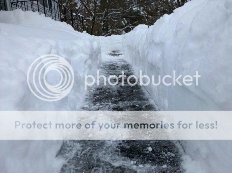 2009-12-20110640.jpg