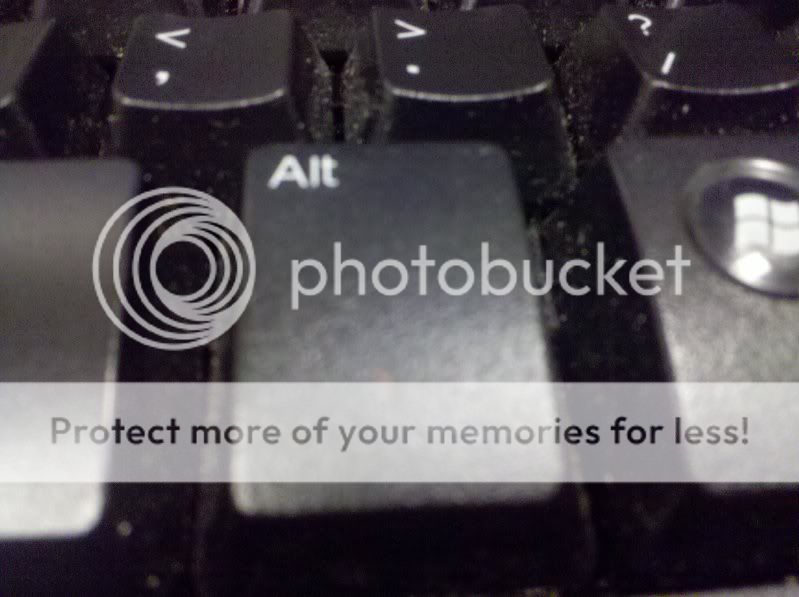 2009-11-10121904.jpg